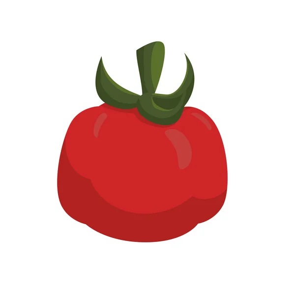 番茄图标。有机和健康食品。矢量图形 — 图库矢量图片
