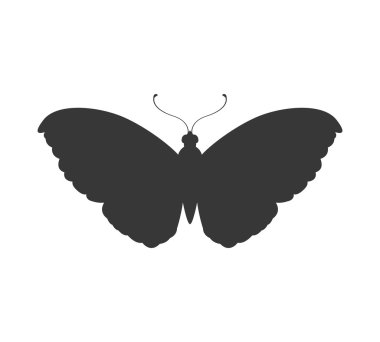 Kelebek siluet simge. Böcek tasarım. Vektör grafiği