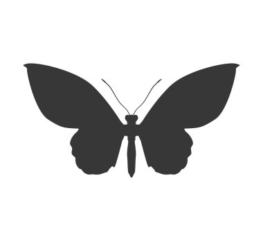 Kelebek siluet simge. Böcek tasarım. Vektör grafiği