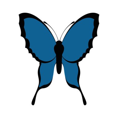 Mavi kelebek kutsal kişilerin resmi. Böcek tasarım. Vektör grafiği