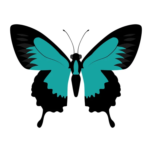Blå fjäril ikonen. Insekt design. Vektorgrafik — Stock vektor