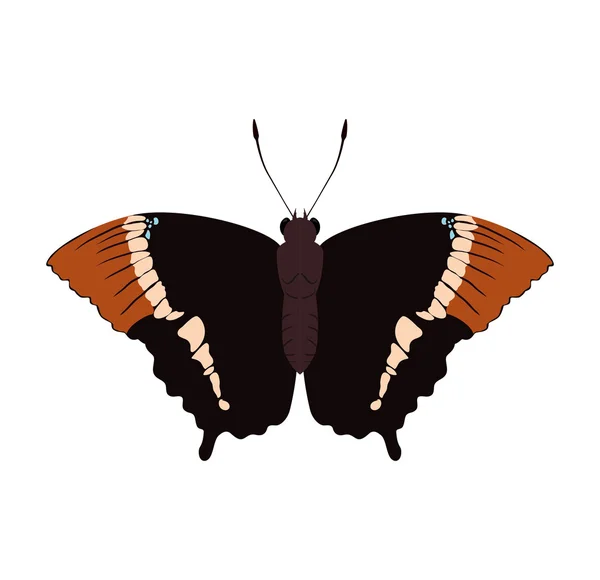 Icono de mariposa. Diseño de insectos. Gráfico vectorial — Archivo Imágenes Vectoriales