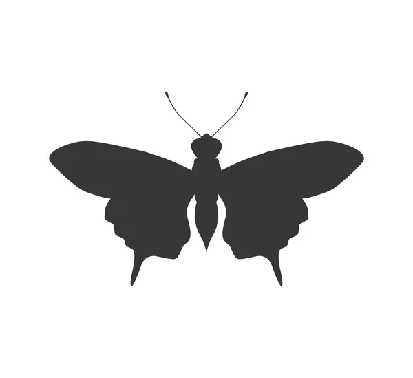 Icono de silueta de mariposa. Diseño de insectos. Gráfico vectorial — Vector de stock