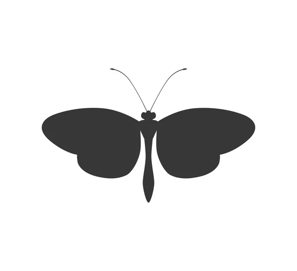Icono de silueta de mariposa. Diseño de insectos. Gráfico vectorial — Vector de stock