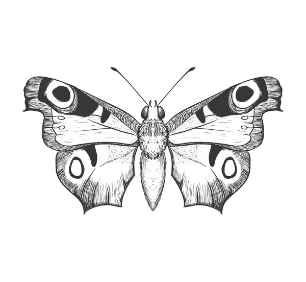 Het pictogram van de vlinder. Insect ontwerp. Vectorafbeelding — Stockvector