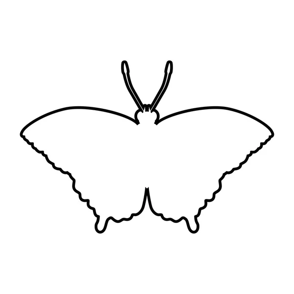 Icono de silueta de mariposa. Diseño de insectos. Gráfico vectorial — Vector de stock
