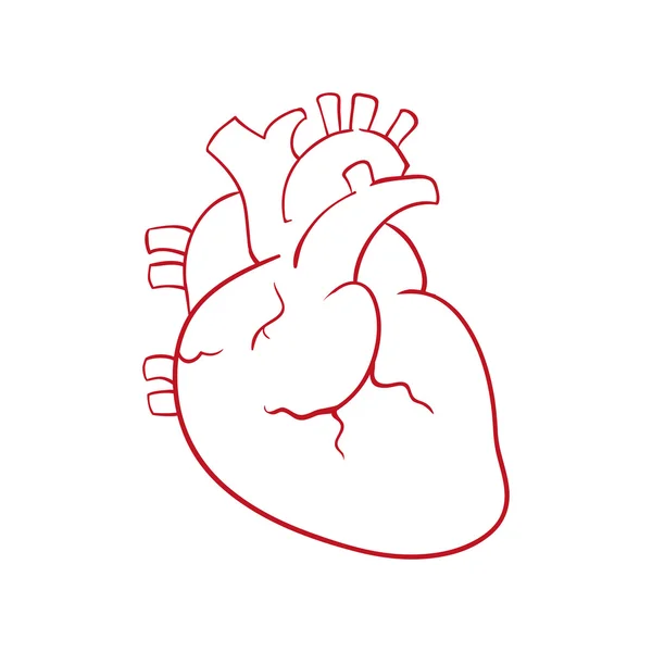 Ikona serca. Pojęcie opieki medycznej. Grafika wektorowa — Wektor stockowy