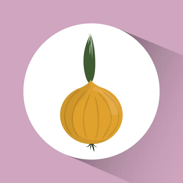 Icono de cebolla. Nutrición y diseño de alimentos orgánicos. Gráfico vectorial — Vector de stock