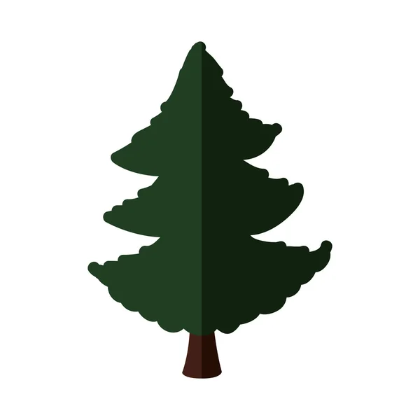 Pino verde icono del árbol. Diseño de la naturaleza. Gráfico vectorial — Vector de stock