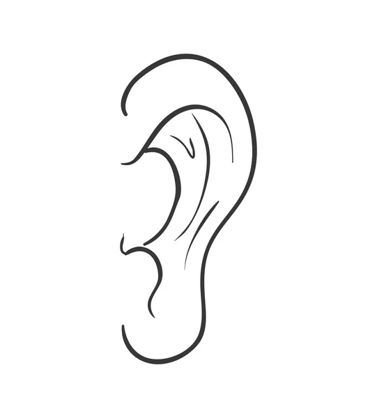 Ear icon. Medical and body part design. Vector graphic — Stock Vector