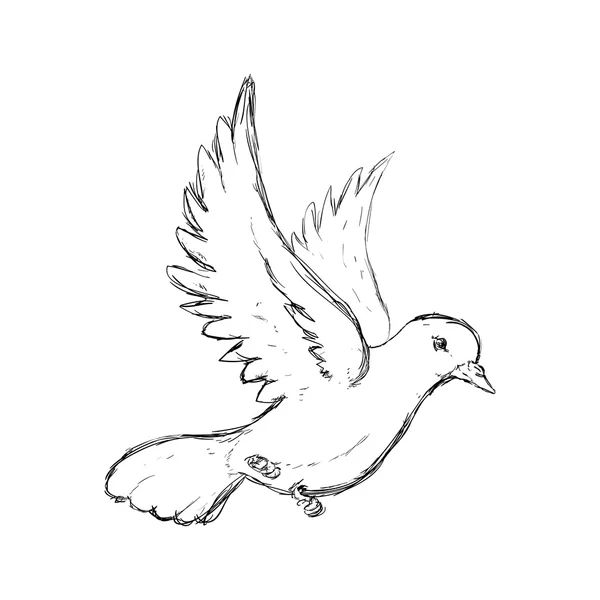 Icono de paloma. Diseño de pájaro y paz. Gráfico vectorial — Archivo Imágenes Vectoriales