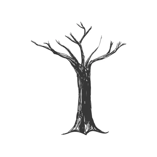 Icono Árbol seco. Diseño de la naturaleza. Gráfico vectorial — Vector de stock