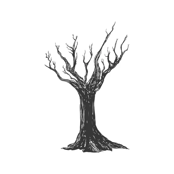 Ícone de árvore seca. Desenho natural. Gráfico vetorial — Vetor de Stock