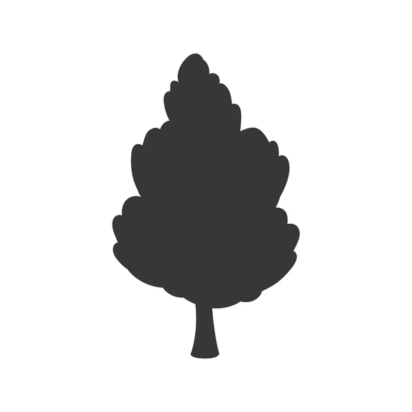 Icono de silueta de árbol. Diseño de la naturaleza. Gráfico vectorial — Vector de stock