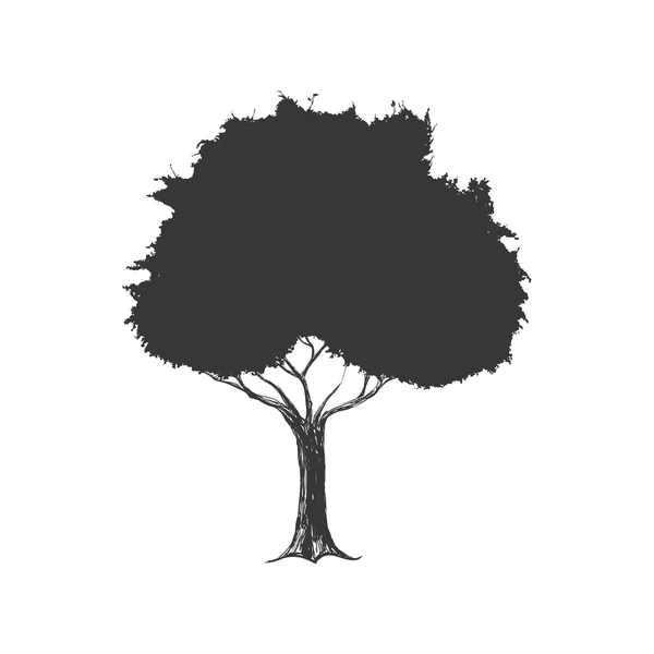 Icona sagoma albero. Design della natura. Grafico vettoriale — Vettoriale Stock