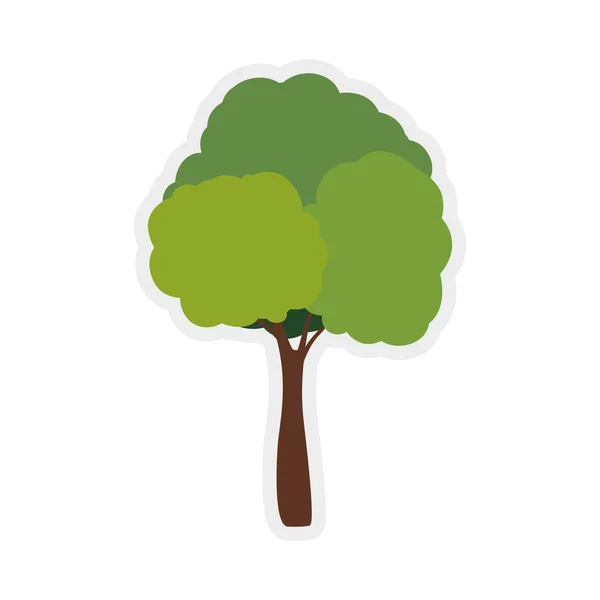 Icono del árbol verde. Diseño de la naturaleza. Gráfico vectorial — Archivo Imágenes Vectoriales