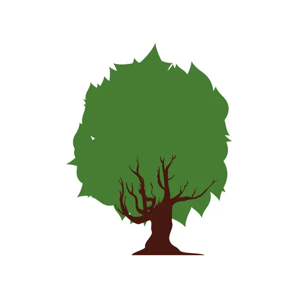 Grüne Baumsymbole. Natur und Ökosystemgestaltung. Vektorgrafik — Stockvektor