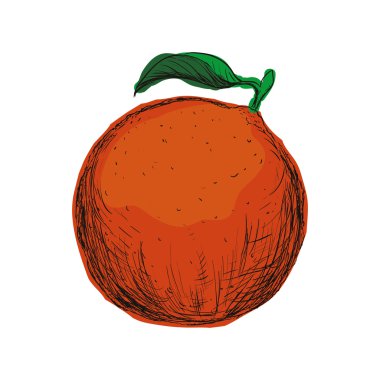 Turuncu simge. Meyve tasarım. Vektör grafiği