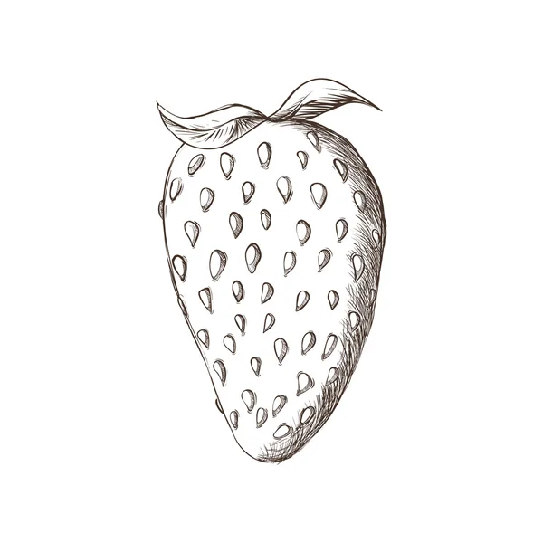 Icône de fraise. Conception de fruits. Graphique vectoriel — Image vectorielle