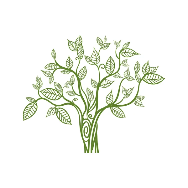 Tree icon. Nature and green design. Vector graphic — Stock Vector