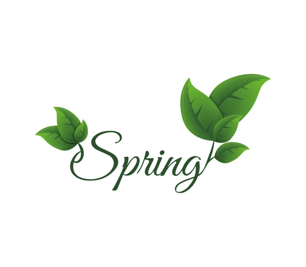 Het pictogram van het blad. Natuur en voorjaar ontwerp. Vectorafbeelding — Stockvector