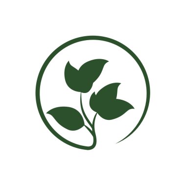 Simge yeşil yaprakları. Doğa tasarım. Vektör grafiği