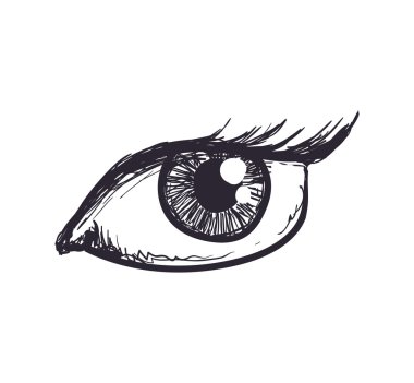 Kadın göz simgesini. Görüntüleyin ve tasarım bak. Vektör grafiği