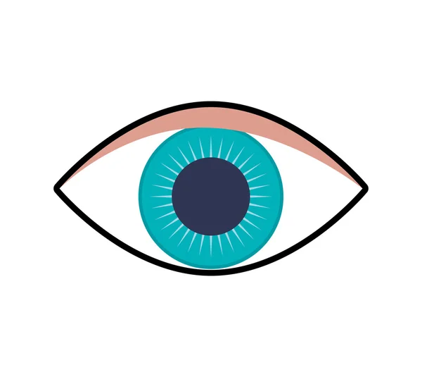 Eye icon. View and look design. Vector graphic — Stock Vector