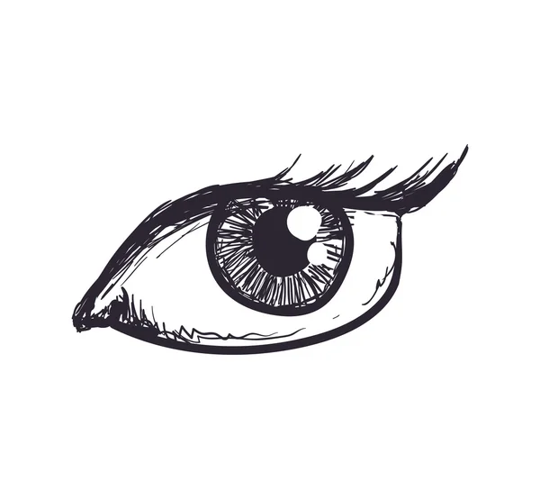 Икона женского глаза. Смотреть и смотреть дизайн. Векторная графика — стоковый вектор