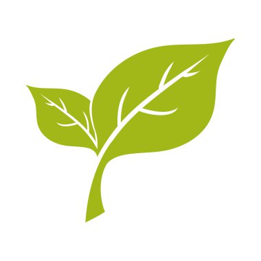 yaprak bitki yeşil doğa ekoloji simgesi. Vektör grafiği