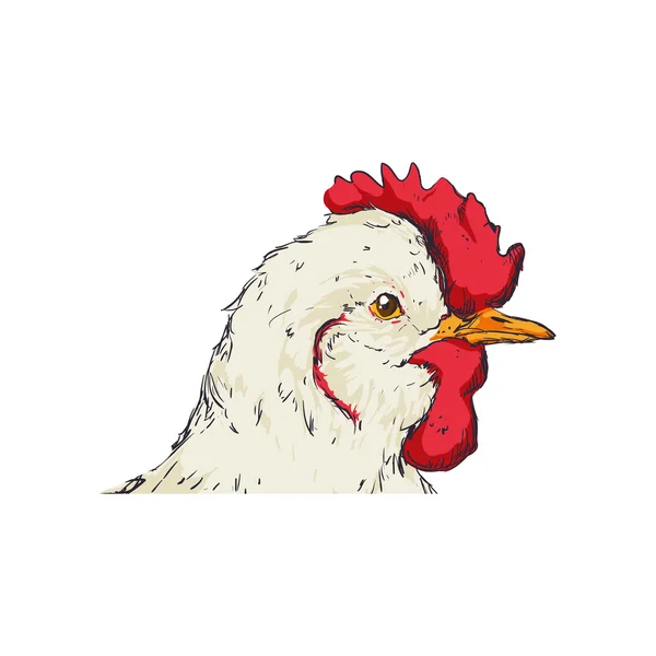 Croquis de poulet animal icône de la ferme. Graphique vectoriel — Image vectorielle