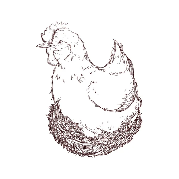 Dierlijk landbouwbedrijf pictogram van de schets van de kip. Vectorafbeelding — Stockvector