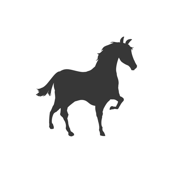 Paard dierlijke dierlijke silhouet pictogram. Vectorafbeelding — Stockvector