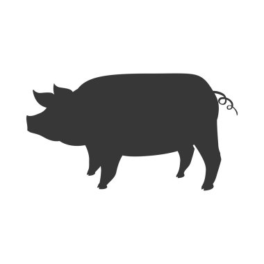 Domuz hayvan çiftliği evde beslenen hayvan karakter simgesi. Vektör grafiği
