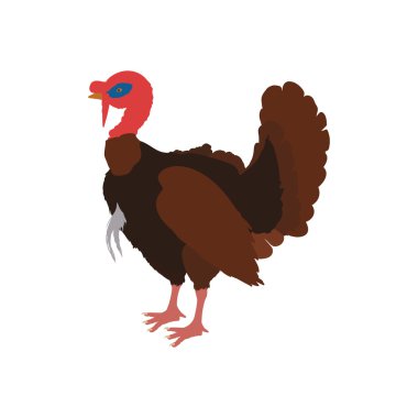 Türkiye'de hayvan çiftliği evde beslenen hayvan karakter simgesi. Vektör grafiği