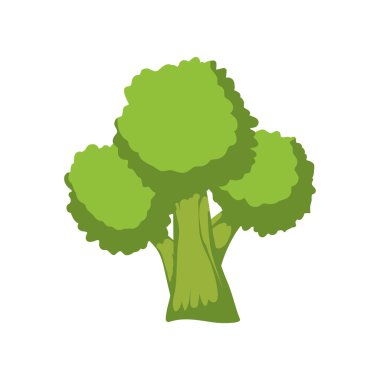 Brokoli sağlıklı gıda organik gıda pazarı simgesi. Vektör grafiği