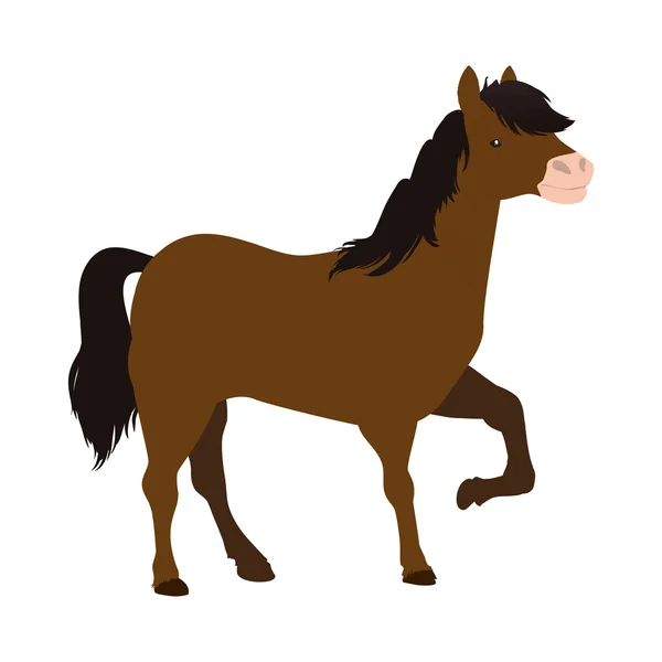 Caballo animal granja mascota carácter icono. Gráfico vectorial — Archivo Imágenes Vectoriales