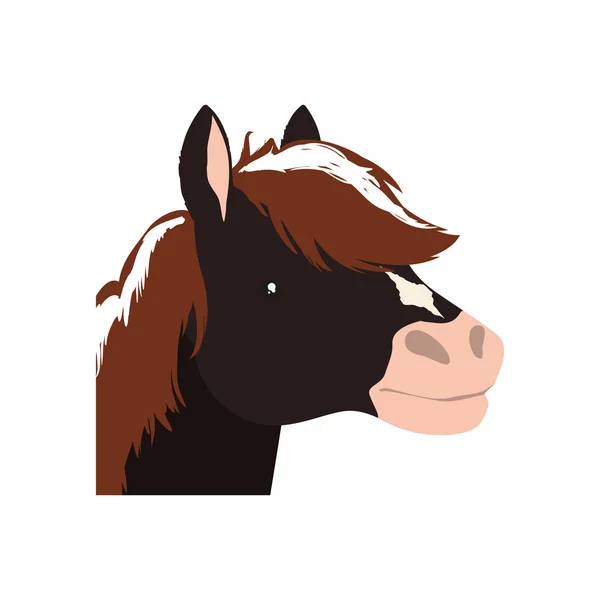 Caballo animal granja mascota carácter icono. Gráfico vectorial — Archivo Imágenes Vectoriales