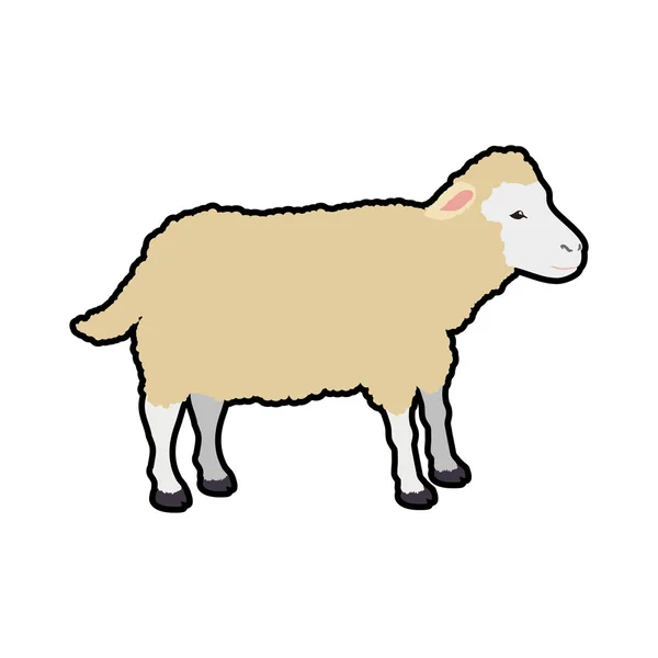 Sheep animal farm pet character icon. Vector graphic — Stock Vector