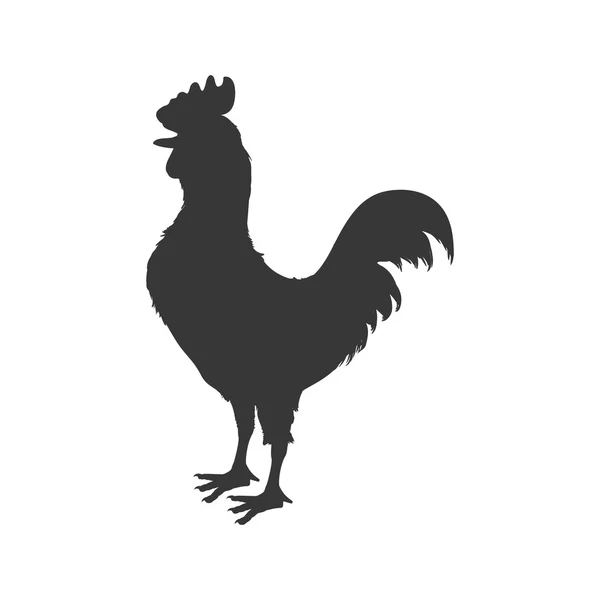 Gallo animal granja mascota carácter icono. Gráfico vectorial — Archivo Imágenes Vectoriales