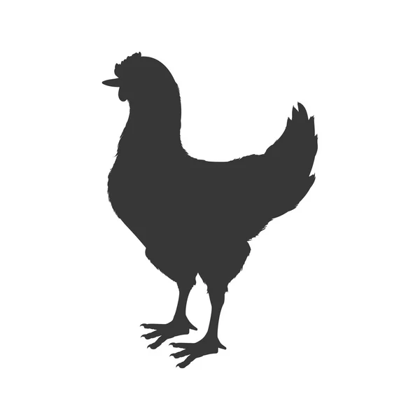 Pollo animal granja mascota carácter icono. Gráfico vectorial — Archivo Imágenes Vectoriales