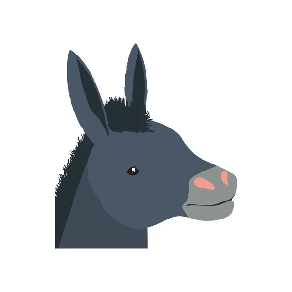 Ícone de personagem de animal de estimação de fazenda burro. Gráfico vetorial —  Vetores de Stock