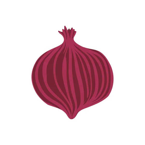 Onion healthy food organic food market icon. Vector graphic — Stock Vector