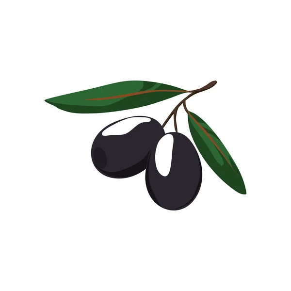 Olive leaf gezonde voeding biologisch voedsel markt pictogram. Vectorafbeelding — Stockvector