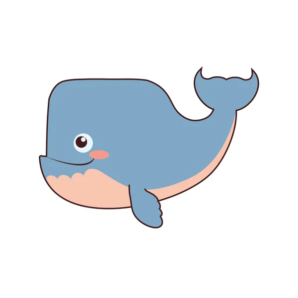 Walvis schattige dieren weinig icoon. Vectorafbeelding — Stockvector
