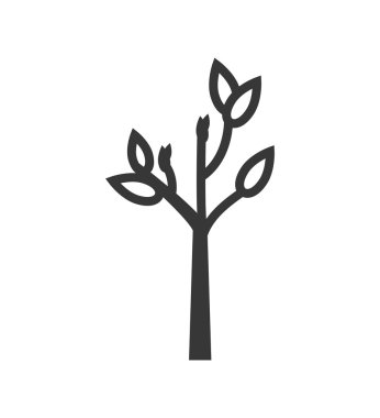 ağaç yaprağı bitki doğa ekoloji simgesi. Vektör grafiği