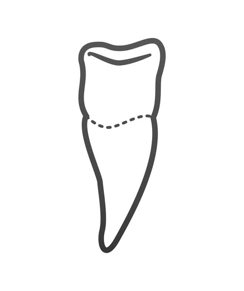 Tand tandheelkundige zorg gezondheid hygiëne pictogram. Vectorafbeelding — Stockvector