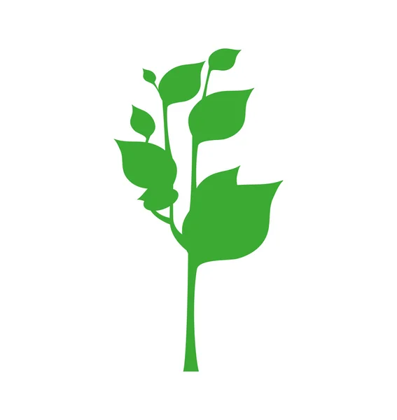 Blad planten groene natuur ecologie pictogram. Vectorafbeelding — Stockvector