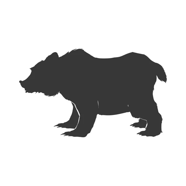 Niedźwiedź dzikich zwierząt sylwetka drapieżnika ikona. Grafika wektorowa — Wektor stockowy