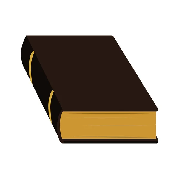 Libro de lectura tradicional lerning icono. Gráfico vectorial — Vector de stock